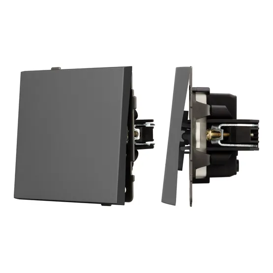 Фото #1 товара Механизм выключателя одноклавишный непроходной SWT-TENDO-MK01-SFPL-GR (230V, 10A) (Arlight, -)