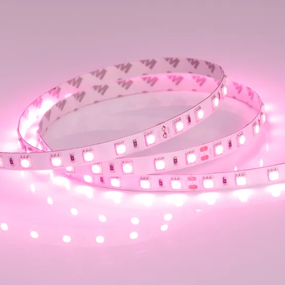 Фото #3 товара Светодиодная лента RT 2-5000 24V Pink 2x (5060, 300 LED, LUX) (Arlight, 14.4 Вт/м, IP20)