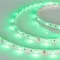 Минифото #3 товара Светодиодная лента RT 2-5000 12V Green (5060, 150 LED, LUX) (Arlight, 7.2 Вт/м, IP20)