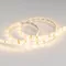 Минифото #4 товара Светодиодная лента RTW 2-5000SE 12V Warm (3528, 300 LED, LUX) (Arlight, 4.8 Вт/м, IP65)