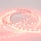 Минифото #3 товара Светодиодная лента RT 2-5000 12V Red 2x (5060, 300 LED, LUX) (Arlight, 14.4 Вт/м, IP20)