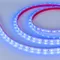 Минифото #2 товара Светодиодная лента RTW 2-5000P 12V Blue (3528, 300 LED, LUX) (Arlight, 4.8 Вт/м, IP66)