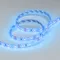 Минифото #2 товара Светодиодная лента RTW 2-5000SE 12V Blue (3528, 300 LED, LUX) (Arlight, 4.8 Вт/м, IP65)