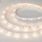 Минифото #2 товара Светодиодная лента RT 2-5000 12V Warm2700 (5060, 150 LED, LUX) (Arlight, 7.2 Вт/м, IP20)