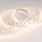 Минифото #2 товара Светодиодная лента RT 2-5000 12V Warm2400 2x (5060, 300 LED, LUX) (Arlight, 14.4 Вт/м, IP20)
