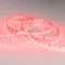 Минифото #3 товара Светодиодная лента RT 2-5000 24V Red 2x (5060, 300 LED, LUX) (Arlight, 14.4 Вт/м, IP20)