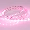 Минифото #3 товара Светодиодная лента RT 2-5000 24V Pink 2x (5060, 300 LED, LUX) (Arlight, 14.4 Вт/м, IP20)