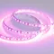 Минифото #2 товара Светодиодная лента RT 2-5000 12V Pink 2X (3528, 600 LED, LUX) (Arlight, 9.6 Вт/м, IP20)